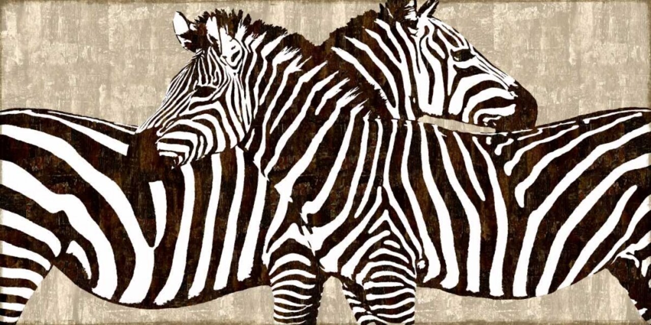 Zebra Gathering Poster Print by Darren Davison # DDS111230DG